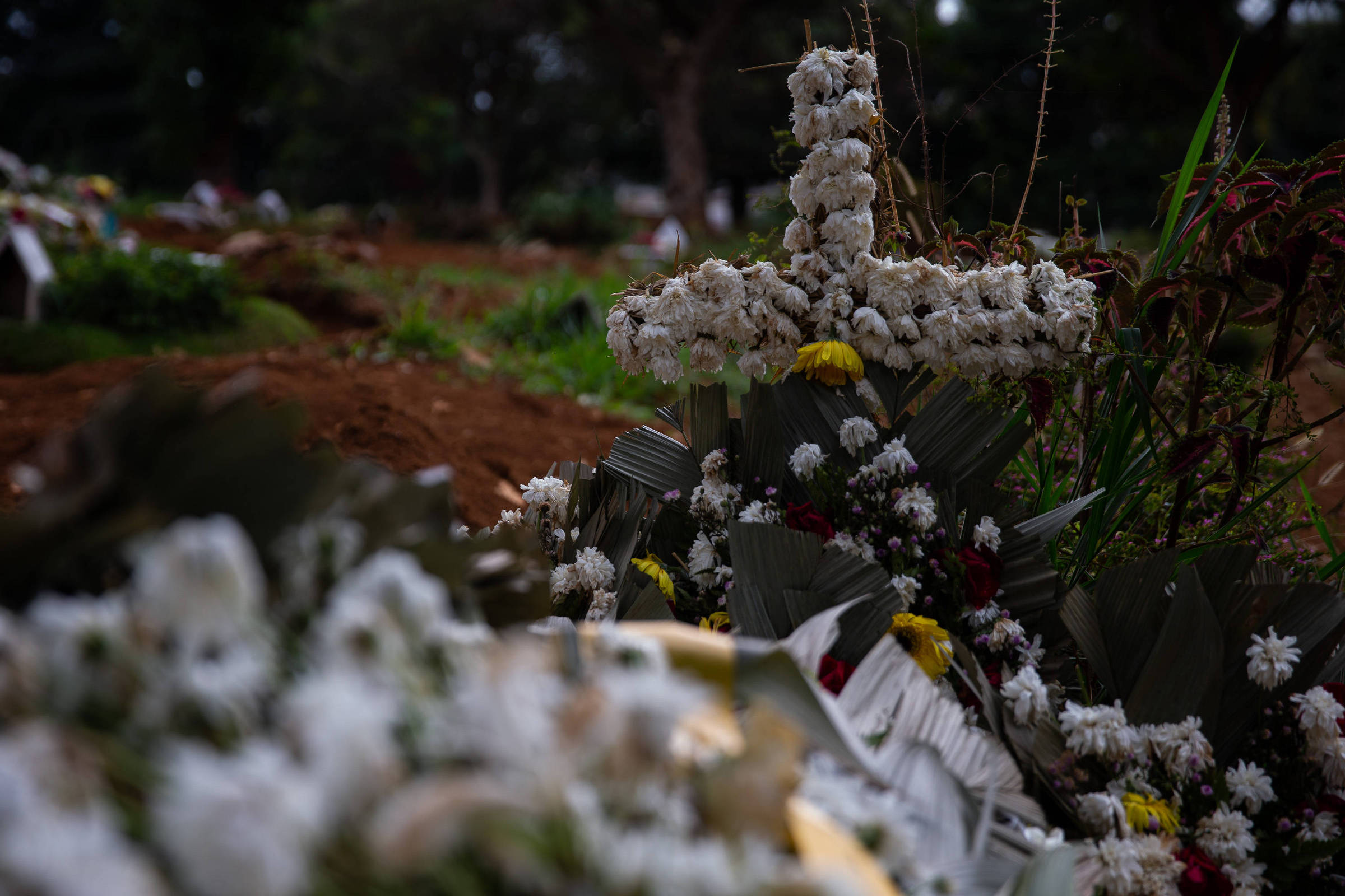 Com 500 mil mortos, número de vítimas de Covid-19 no Brasil já é maior que 8 genocídios